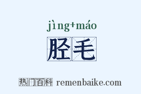 胫毛是什么意思的图片